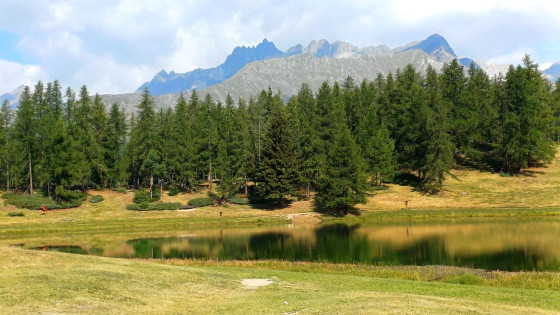 Chamois