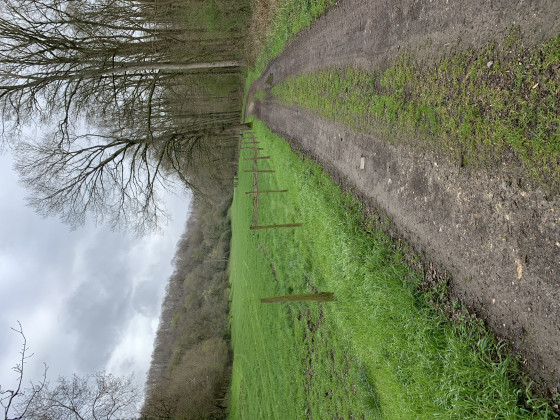 Champ longeant la forêt