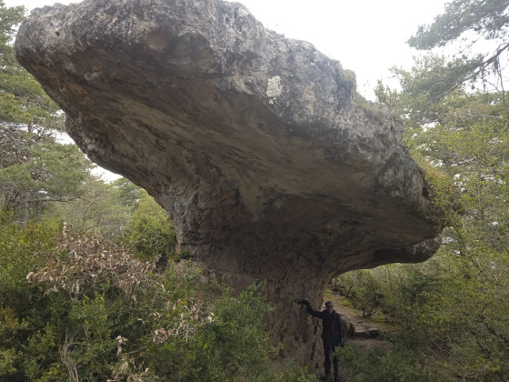 champignon pr&eacute;historique