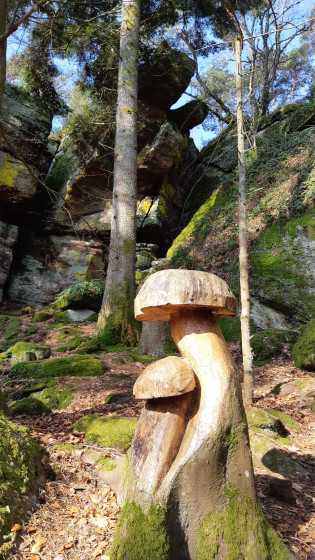 Champignons sculpt&eacute;s