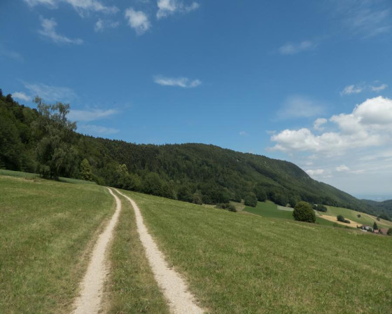Champs de Fraubère