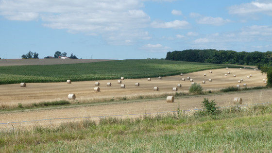 Champs en Bassée
