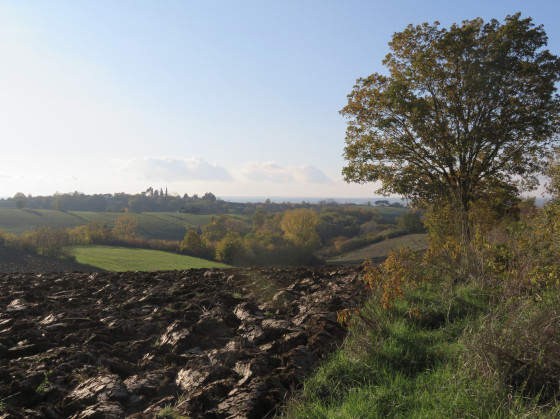 Champs retournés et couleurs d'automne