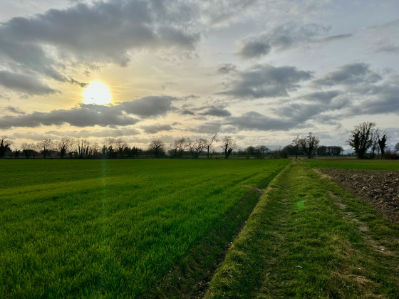 Champs verdoyants et soleil couchant