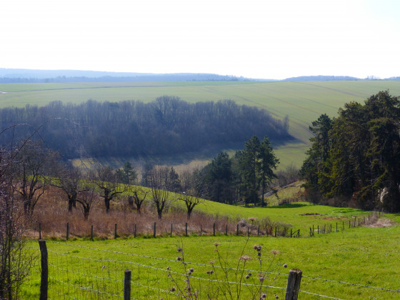 Charentenay