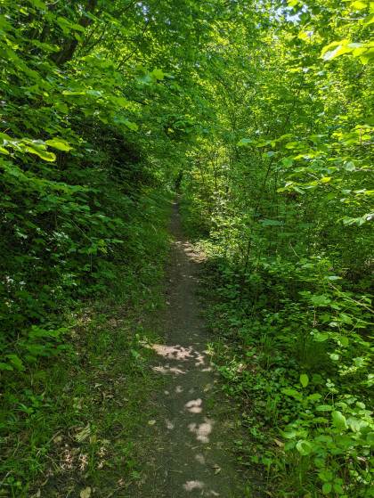 Charmant chemin en descente vers Heidwiller