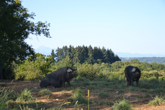 Charmante rencontre