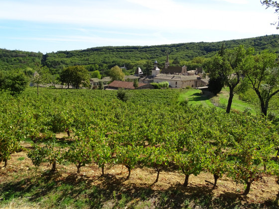 Chartreuse de Valbonne