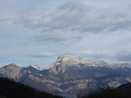 Chartreuse