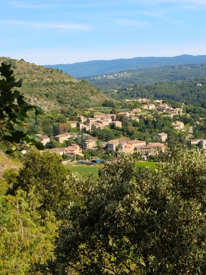 chassagnes