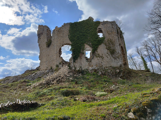 Château de Beauregard