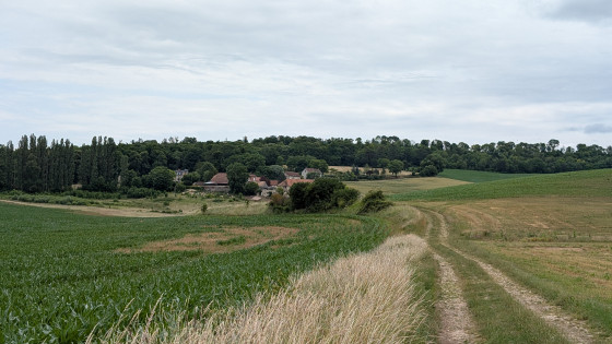 Château de Châlons le vergeur