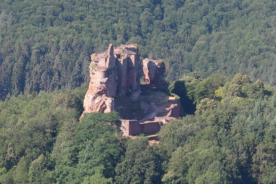 Circuit des quatre châteaux autour du Fleckenstein