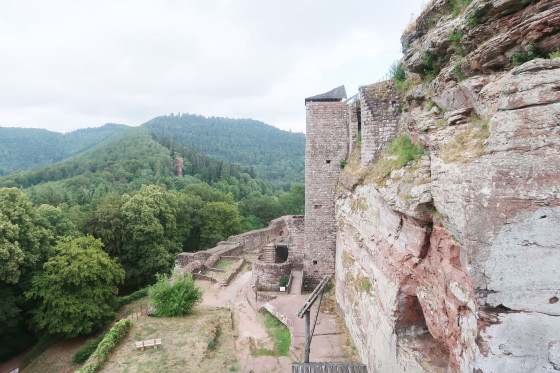 Circuit des quatre châteaux autour du Fleckenstein