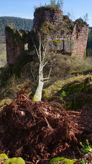 Ch&acirc;teau de Freudeneck