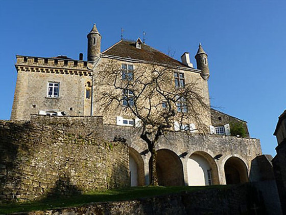 Château de Frontenay