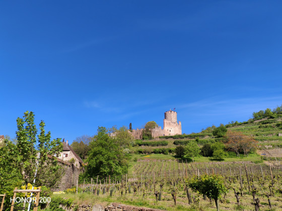 Château de Kaysersberg
