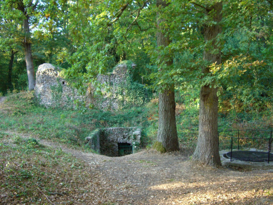 Château de la Robertière