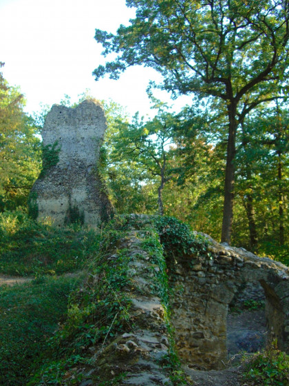 Château de la Robertière