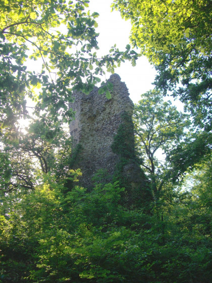 Château de la Robertière