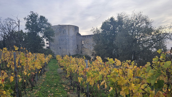 Château de langoiran