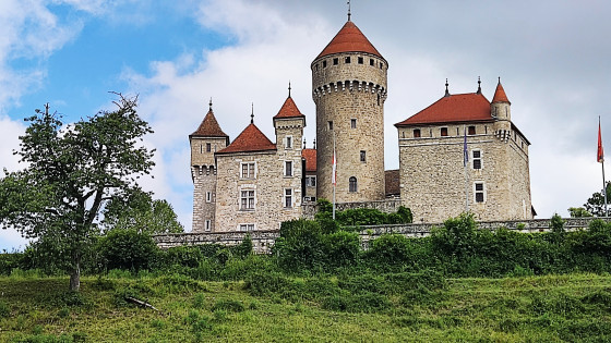Ch&acirc;teau de Montrottier