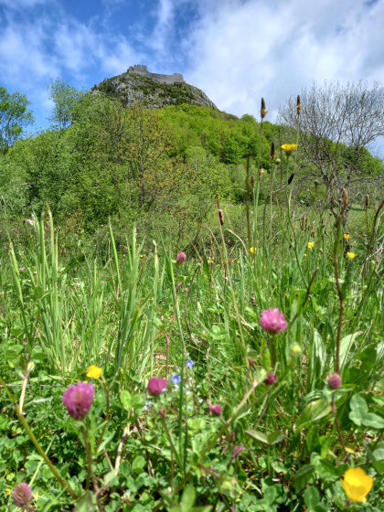 Château de Montsegur