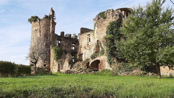 Chateau de Pagax