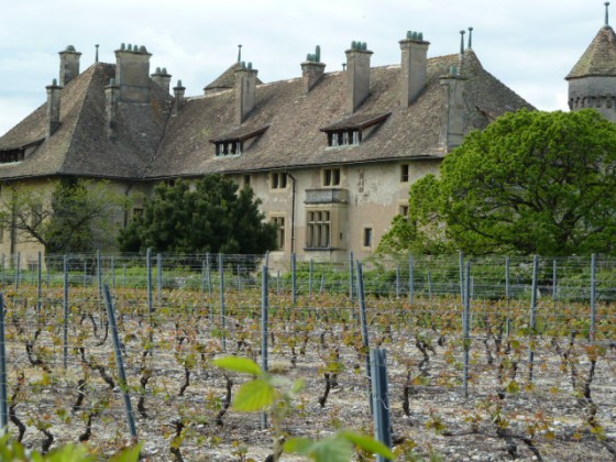 Château de Ripaille