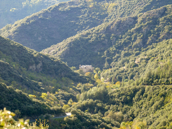 Château de Roquefère