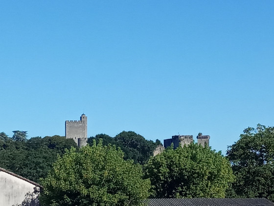 Château de Roquetaillade