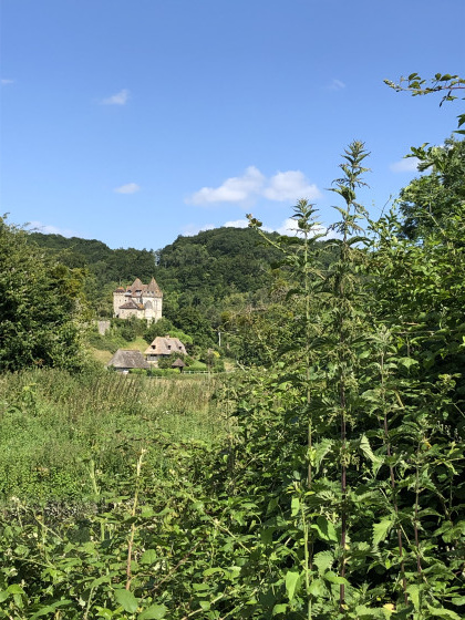 Ch&acirc;teau de Saint Mards sur Risle