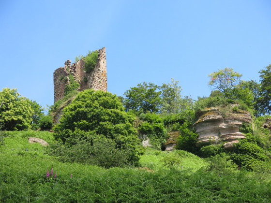 chateau de Salm