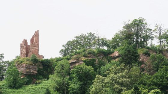 Château de Salm