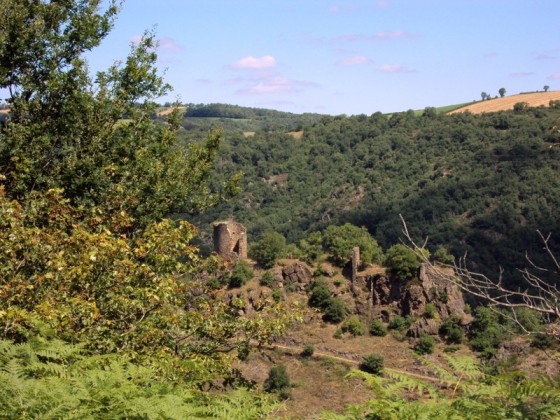 Ch&acirc;teau de Thuries