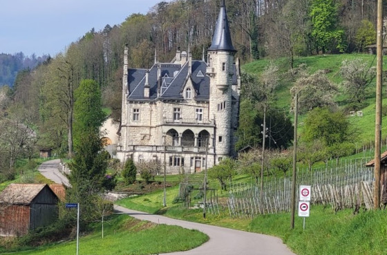 Château de Wart
