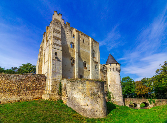 Chateau des comtes du Perche