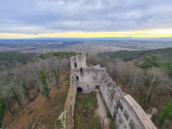Château du Bernstein
