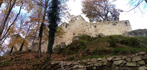 Château du Bernstein