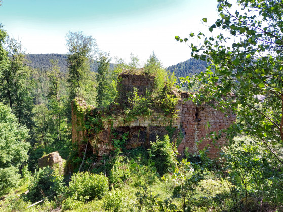 Château du Freudeneck