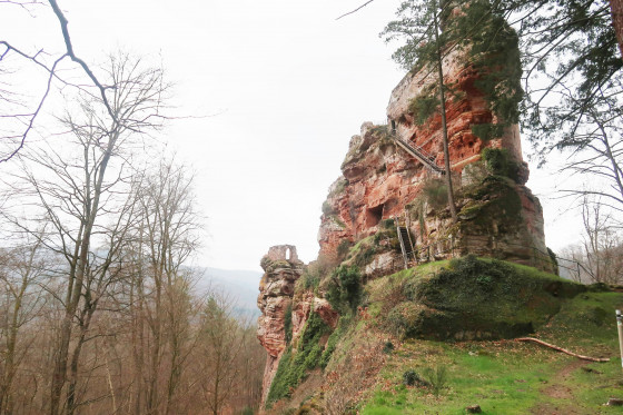 Château du Froensbourg