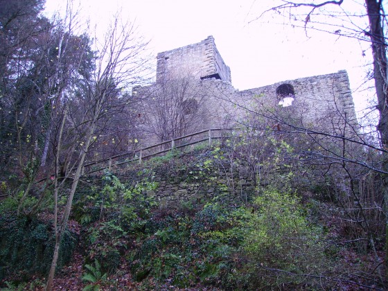 Château du Hagueneck
