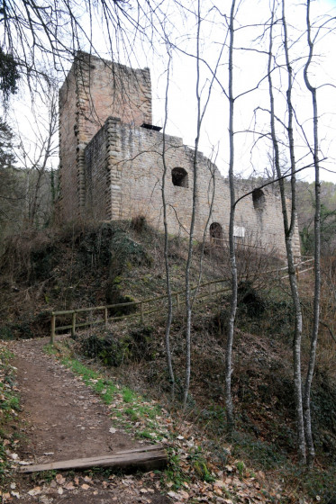 Château du Hagueneck