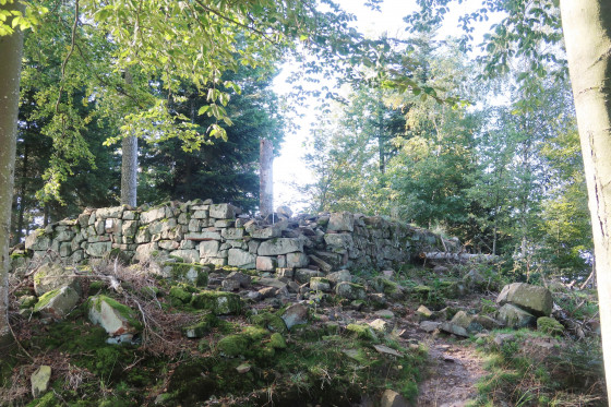 Château du Petit Ringelsberg