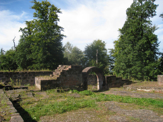 Château ruiné du Warthenberg