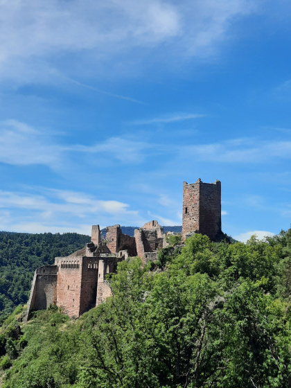 Château Saint-Ulrich
