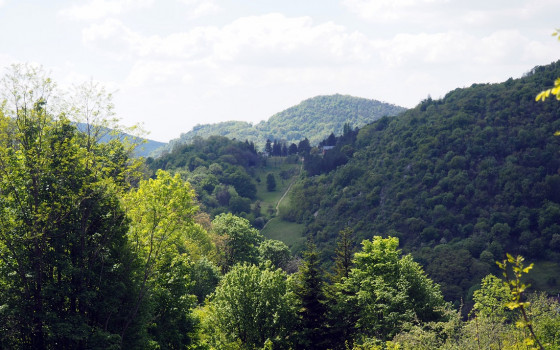 Chaudane : la Combe de l\'œillet