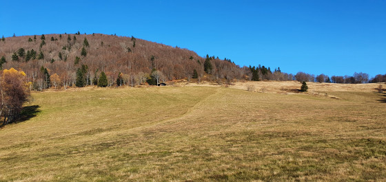chaume de haute Bers