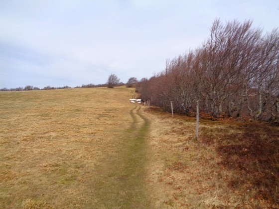 Chaume du Lauchenkopf