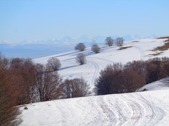 Chaume du Rossberg